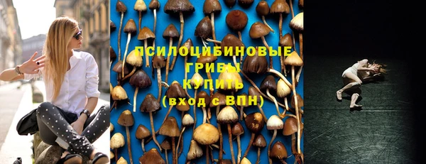 марки nbome Новозыбков