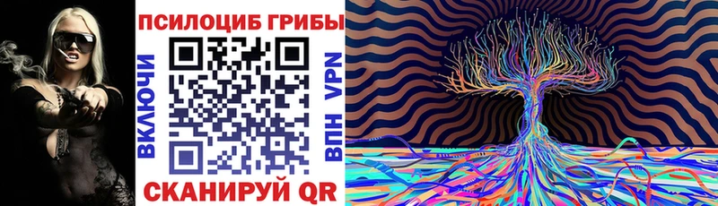 Псилоцибиновые грибы мухоморы  Кисловодск 